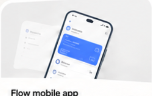 Flow mobile app project preview